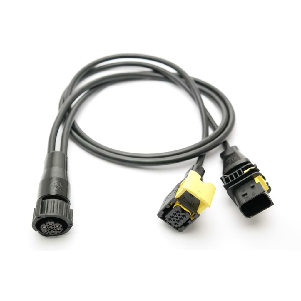 Image de EL690005-- Aspöck Y-Verlängerungsleitung HDSCS- AMP DAF IVECO, 2m Stecker - Leuchte 180°, Stecker Fahrzeug 180°