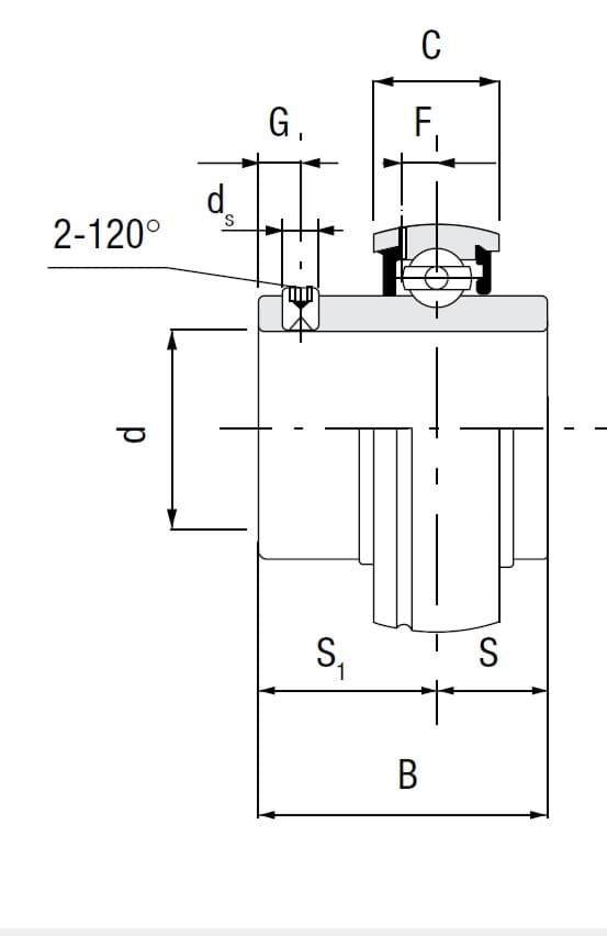 Immagine di SPANNLAGER UC 309 FK 